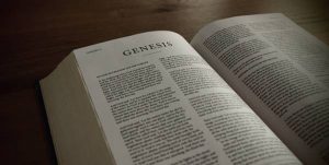 Bible chapters and verses list